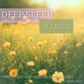 Healing Sounds for Deep Sleep、SLEEPY NUTS - distant family