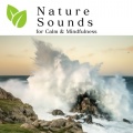 Nature sounds for deep sleep - Nature sounds for deep sleep