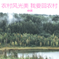 小琢 - 农村风光美 我要回农村
