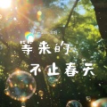 黑豆ado - 等来的不止春天