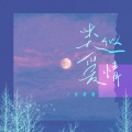 徐暖暖 - 类似爱情