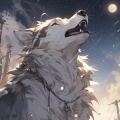 Levitating (豺狼进行曲)