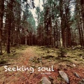 Andado - Seeking soul