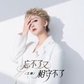 王娜 - 忘不了又相守不了