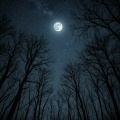 Yunhao - 夜半