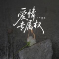 卢润泽 - 爱情专属权