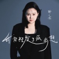 张小花 - 我曾经发了疯的想