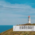 毛家超 - 连妹要连姊妹花