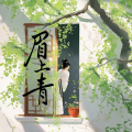 辛雯 - 眉上青