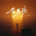 艾北 - 老男孩