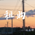 张玉鹏 - 租购