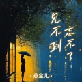 燕宝儿 - 见不到忘不了