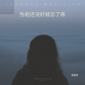 夏遇明 - 伤疤还没好就忘了疼