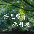 赵堇彤 - 恰逢那年你明媚