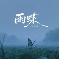 阿美呀 - 雨蝶