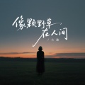 大潞 - 像颗野草在人间