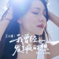江小城 - 我曾经发了疯的想