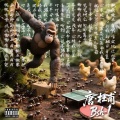 Bsh-1 - 唐·杜甫