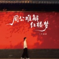 卢润泽 - 周公难解红楼梦