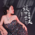 燕宝儿 - 谈什么名利输赢