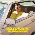 CARSTN、Agent Zed、katrina & the waves - Walking on Sunshine