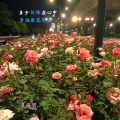 夏遇明 - 祈祷