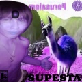 Cnety - Supesta