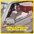 CARSTN、Agent Zed、katrina & the waves - Walking on Sunshine