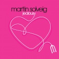 Martin Solveig - Jealousy