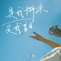 王娜 - 是我糊涂是我盲目