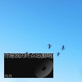 丹丹、欧阳 - 你是我的终点站