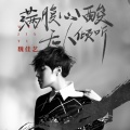 魏佳艺 - 满腹心酸无人倾听