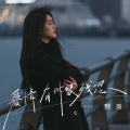 野哥 - 爱情有时很残忍