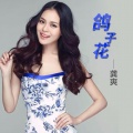 龚爽 - 鸽子花