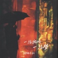 轻烟大叔 - 一场游戏一场梦