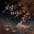 赵乃吉 - 爱情转移