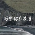 丁乙 - 好想你在夜里