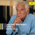 Leonard Bernstein、Wiener Philharmoniker - 2. Andante mosso, quasi allegretto