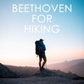Mikhail Pletnev - Beethoven: 9 Variations on a March by Dressler, WoO 63: Thema. Maestoso in C Minor