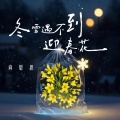 向思思 - 冬雪遇不到迎春花