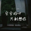 任二三 - 空空的心只剩想你