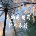 龙翼 - 真的好想有个人来陪