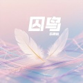囚鸟（释怀版）