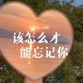 安儿陈 - 该怎么才能忘记你