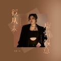 大美 - 我从未虚情假意