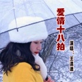 王温迪 - 爱情十八拍