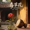 小梁的（梁思琪） - 毒草花(越南弹鼓版)伴奏
