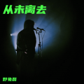 野兔磊 - 不让我的眼泪陪我过夜