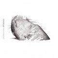 Coldplay - The Scientist