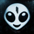 Skrillex - Ragga Bomb